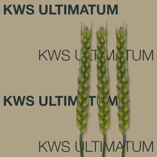 KWS ULTIMATUM