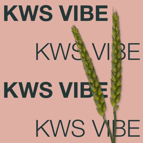 KWS VIBE