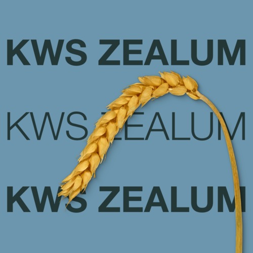 KWS ZEALUM