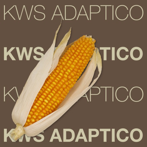 KWS ADAPTICO