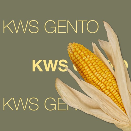 KWS GENTO