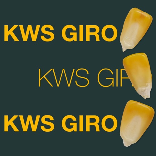 KWS GIRO