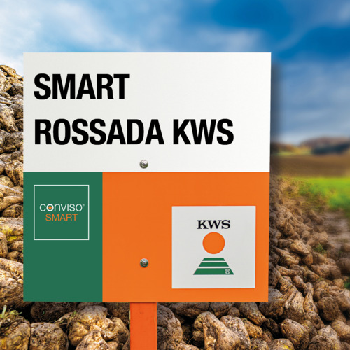 SMART ROSSADA KWS