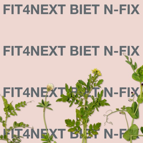 KWS Fit4NEXT BIET N-FIX