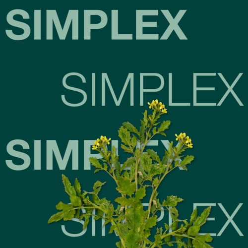 SIMPLEX