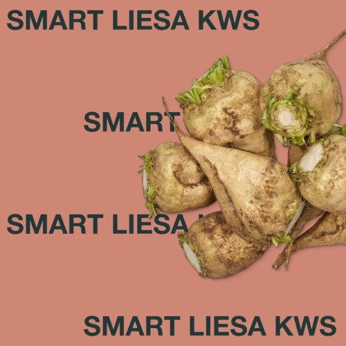 SMART LIESA KWS