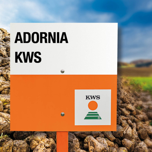 ADORNIA KWS