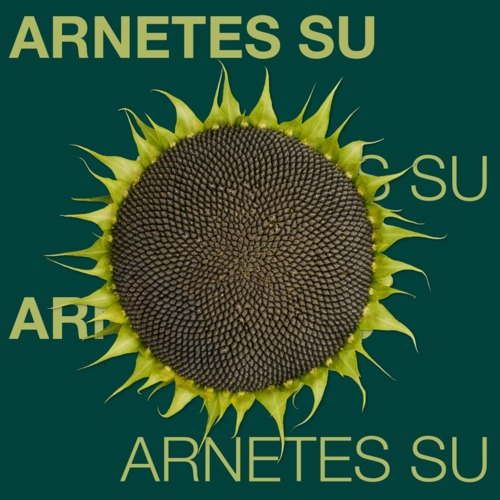 ARNETES SU