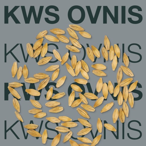KWS OVNIS