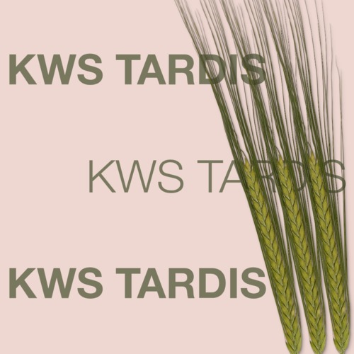 KWS TARDIS