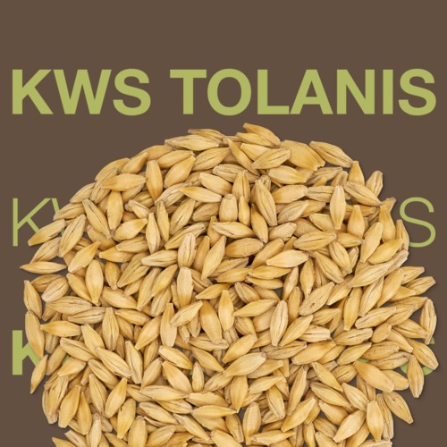 KWS TOLANIS