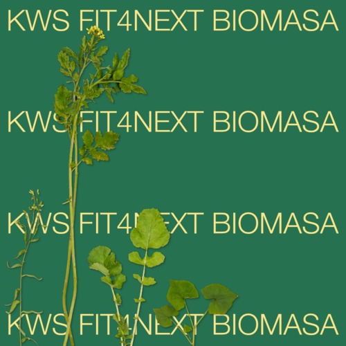KWS Fit4NEXT BIOMASA