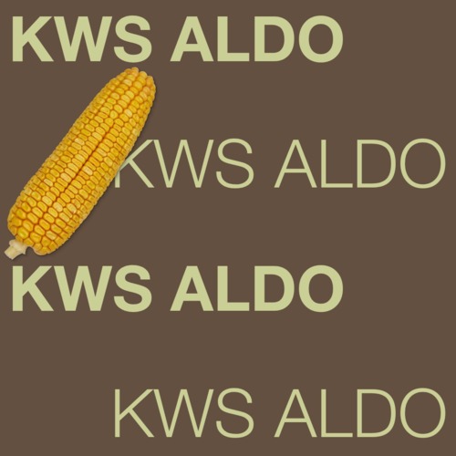 KWS ALDO