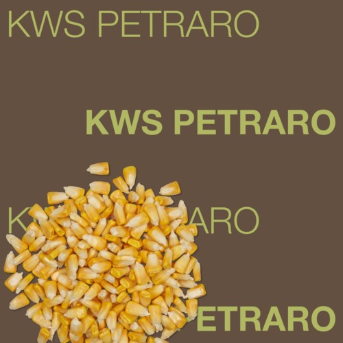KWS PETRARO