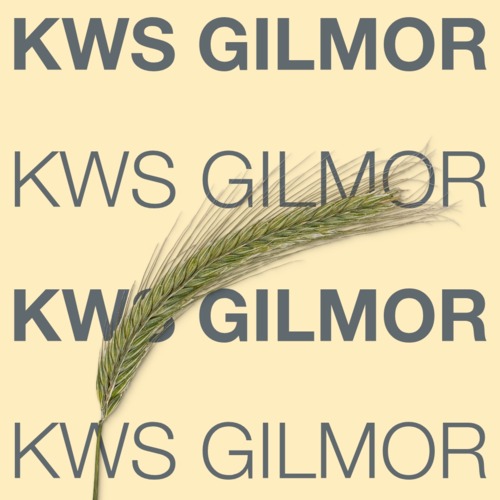 KWS GILMOR