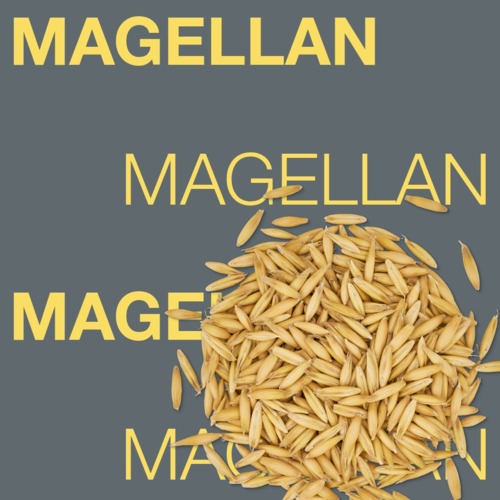 MAGELLAN
