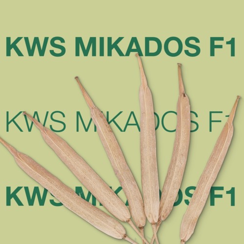 KWS MIKADOS F1