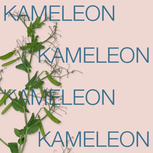 KAMELEON