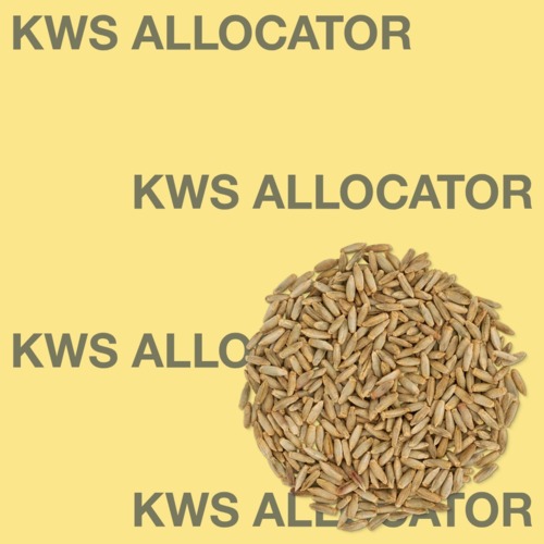 KWS ALLOCATOR