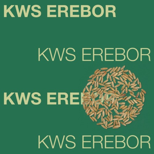 KWS EREBOR