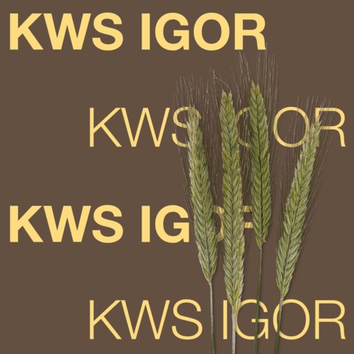 KWS IGOR