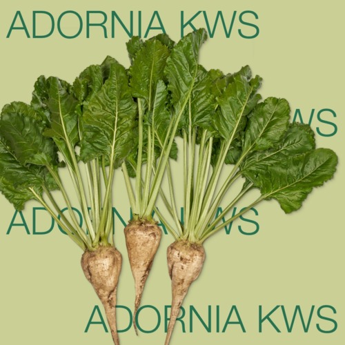 ADORNIA KWS