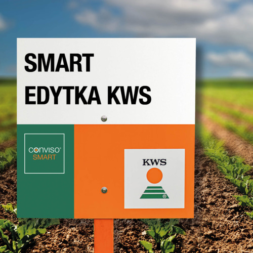 SMART EDYTKA KWS