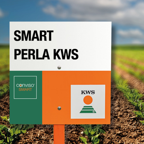 SMART PERLA KWS