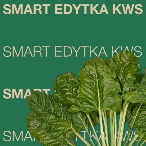 SMART EDYTKA KWS