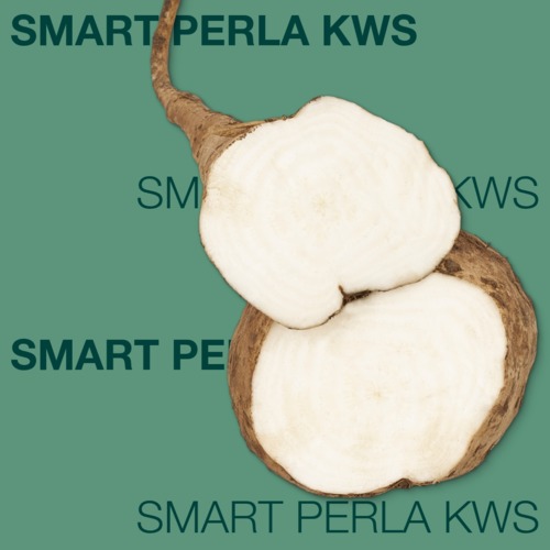 SMART PERLA KWS