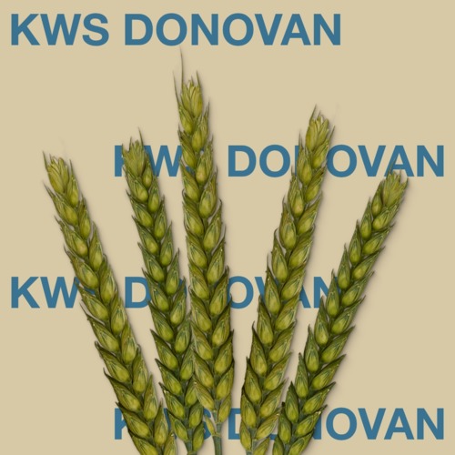 KWS DONOVAN