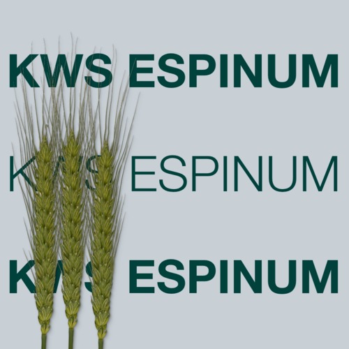 KWS ESPINUM