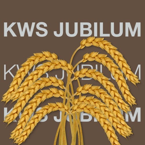 KWS JUBILUM