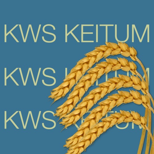 KWS KEITUM