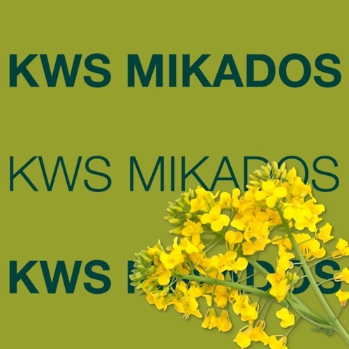 KWS MIKADOS