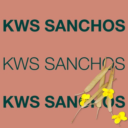 SANCHOS
