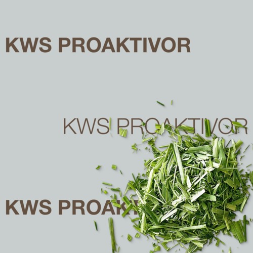 KWS PROAKTIVOR