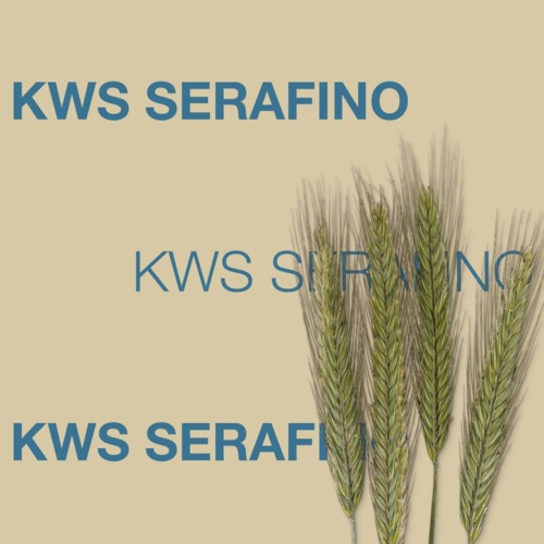 KWS SERAFINO