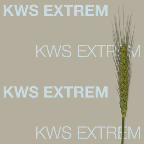 KWS EXTREME