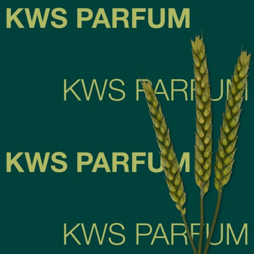 KWS PARFUM