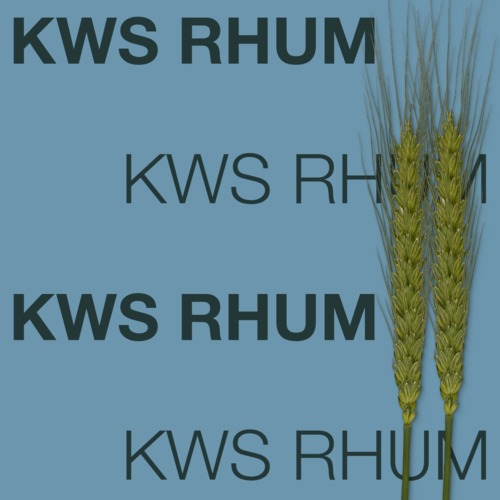 KWS RUHM