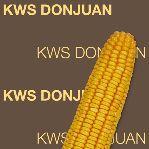 KWS DONJUAN