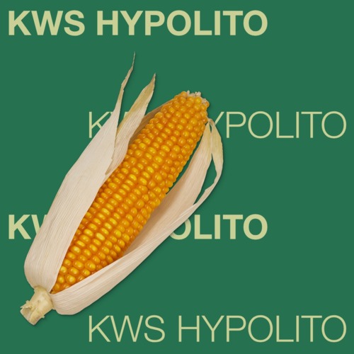 KWS HYPOLITO