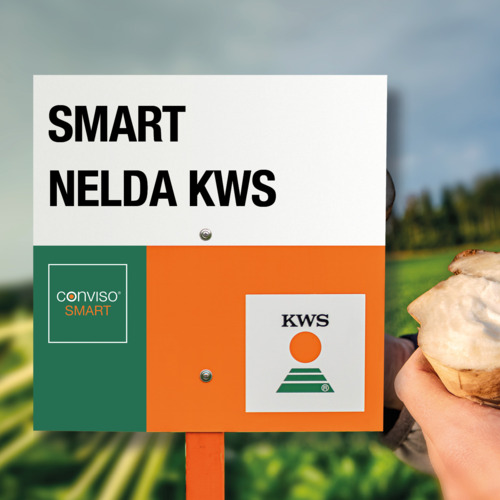 SMART NELDA KWS