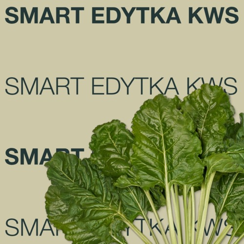 SMART EDYTKA KWS