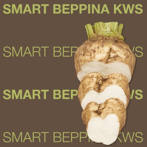 SMART BEPPINA KWS