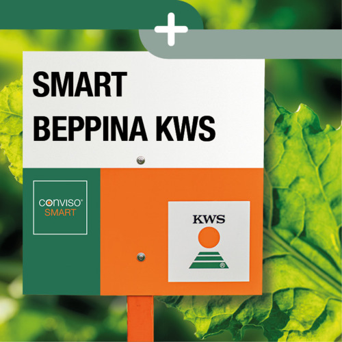 SMART BEPPINA KWS