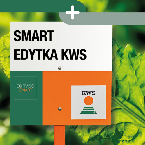 SMART EDYTKA KWS
