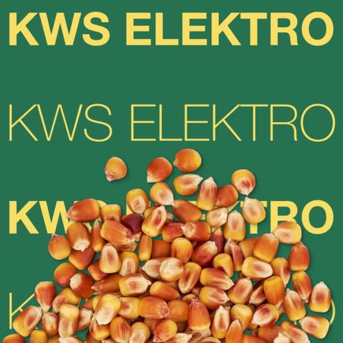 KWS ELEKTRO