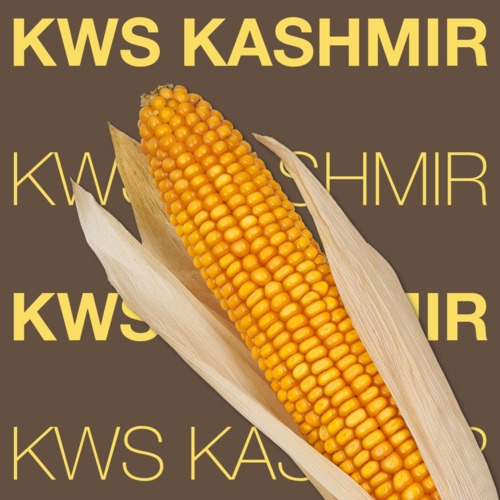 KWS KASHMIR